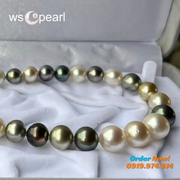 Ngọc trai south sea màu tứ quý Ngọc trai south sea màu tứ quý