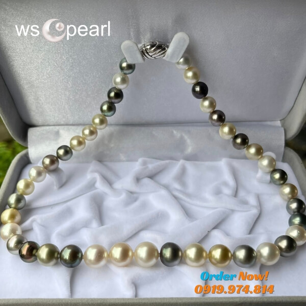 Ngọc Trai south Sea Ngọc Trai south Sea